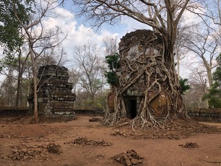old temple in the forest