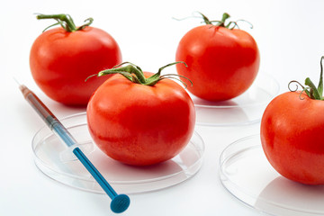 Genetically modified foods or GMO food, genetic improvement of produce and dna manipulation...