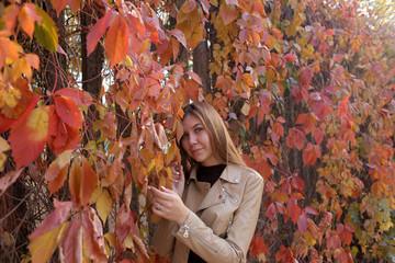 Autumn- Beautiful girl portrait in autumn park on the background of the fence with red leaves of wild grapes. Happy autumn girl, close-up portrait.