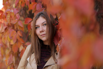 Close-up portrait of a young girl in an autumn Park on a background of red leaves. A young woman walks in the Park in the autumn.