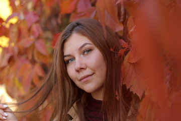 Naklejka na ściany i meble Close-up portrait of a young girl in an autumn Park on a background of red leaves. A young woman walks in the Park in the autumn.