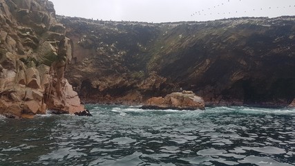 Obraz premium Ballestas Island, Paracas, Perú