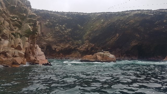 Ballestas Island, Paracas, Per&uacute;
