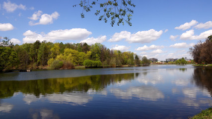 Fototapeta na wymiar Beautiful clean European park with a beautiful view of the lake