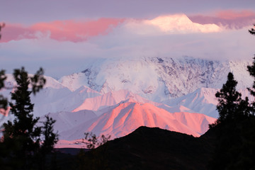 Denali alpen glow