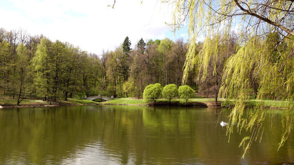 Fototapeta na wymiar Beautiful clean European park with a beautiful view of the lake