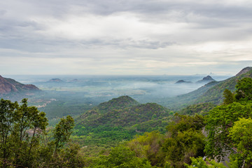 mountain covered with green forest and low cloud