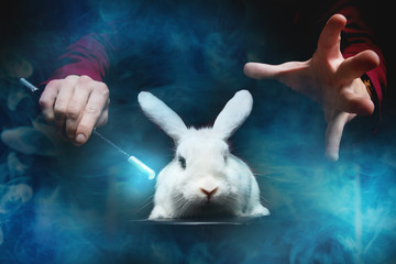 Magician man makes trick with white rabbit and magic wand, copy space black background