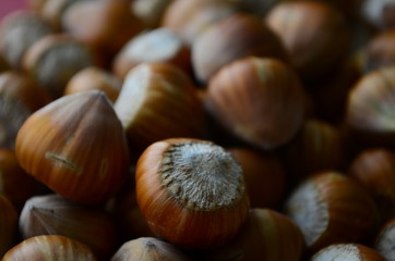 ripe collected hazelnuts on a table close up