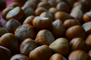 ripe collected hazelnuts on a table close up