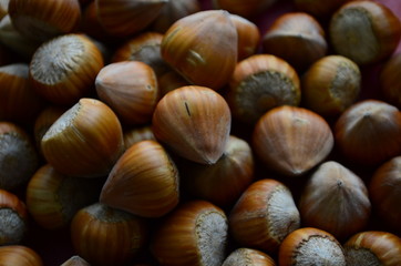 ripe collected hazelnuts on a table close up