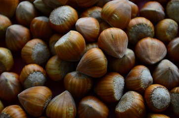 ripe collected hazelnuts on a table close up