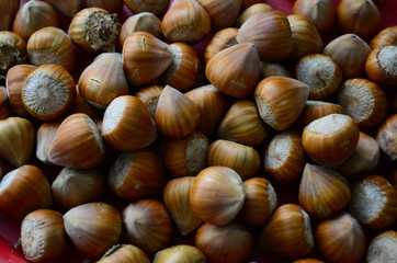 ripe collected hazelnuts on a table close up