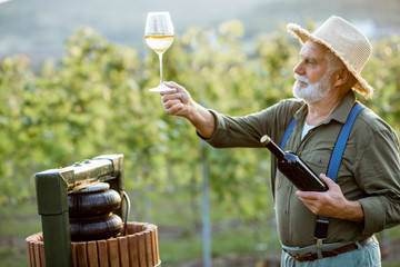 Senior well-dressed winemaker checking wine quality, while standing with wineglass near the press...