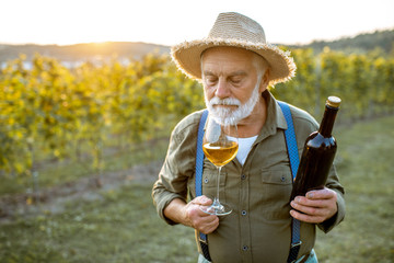 Portrait of a senior well-dressed winemaker checking the wine quality on the vineyard during a...