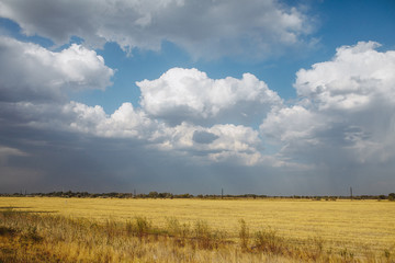 Fototapeta premium field sky clouds farm
