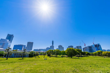 横浜 臨港パークの風景 芝生広場とビル群