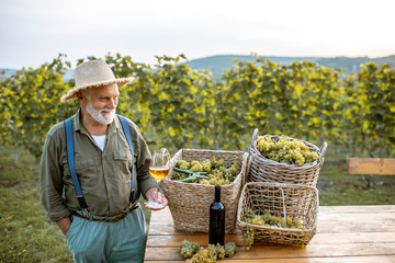 Portrait of a senior well-dreesed winemaker standing with wine glass near the table full of freshly picked up grapes on the vineyard