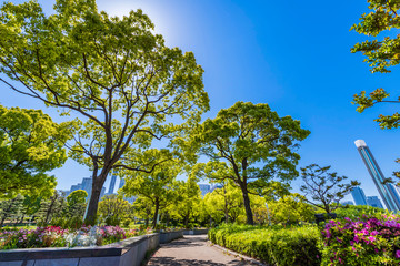 横浜 臨港パークの風景