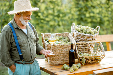 Portrait of a senior well-dreesed winemaker standing with wine glass near the table full of freshly...