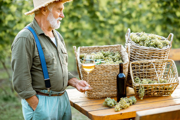 Portrait of a senior well-dreesed winemaker standing with wine glass near the table full of freshly...