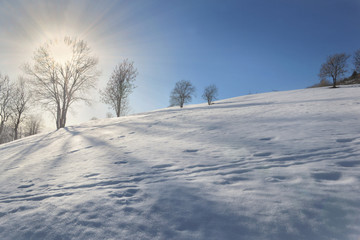 Fototapeta na wymiar sunrise trought the tree doing shadows on the snow covered a hill