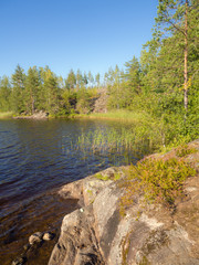 Fototapeta na wymiar coast of a forest lake