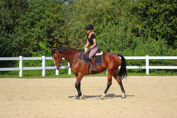 Horse with his young blond horsewoman riding in the riding arena in the sunshine..