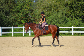 Horse with his young blond horsewoman riding in the riding arena in the sunshine..