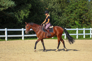 Horse with his young blond horsewoman riding in the riding arena in the sunshine..