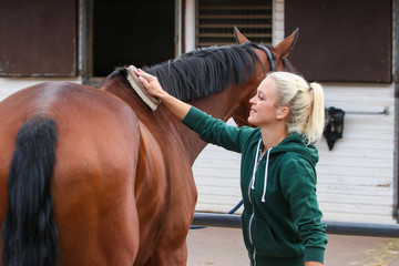 Horse is being brushed by a young blond girl, with a brush and hoof scraper..