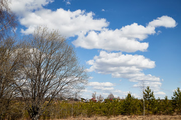 Obraz premium Beautiful blue sky with white clouds over field and village in a early spring day