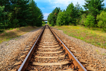 Obraz premium Railroad track through a green pine forest