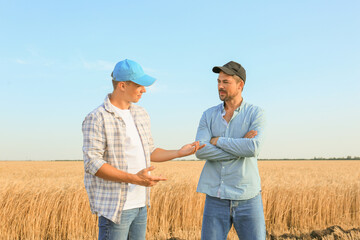Naklejka na ściany i meble Male farmers working in wheat field