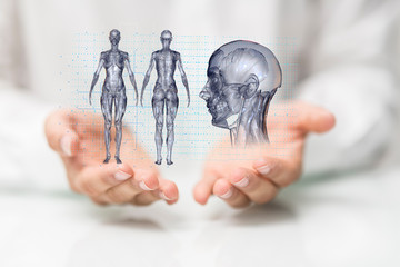interface as medical network concept