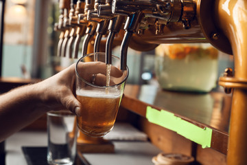 Barman pouring fresh beer in glass, closeup