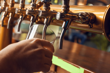 Barman pouring fresh beer in glass, closeup