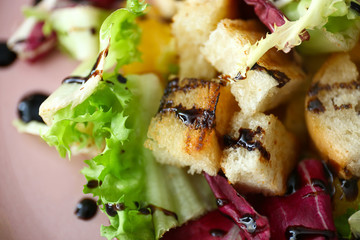 Tasty salad with vegetables and dried breads on plate, closeup