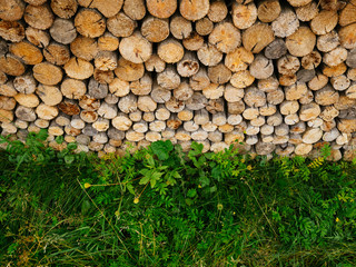 Neatly stacked firewood on top of each other