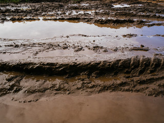 A dirty brown puddle. Slush from rain and passing trucks