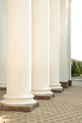 Classic white cylindrical columns.