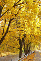 Autumn in Vilnius
