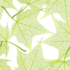 Seamless pattern with green fern leaves.