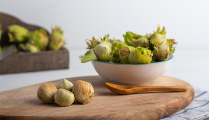 fresh hazel nuts on a white background