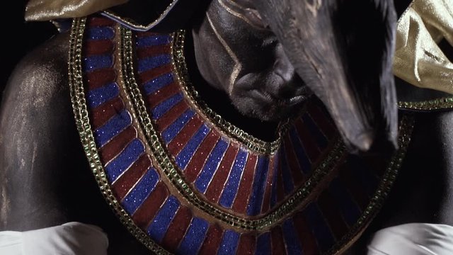 Close up of Anubis in ancient clothes with jackals head looking up