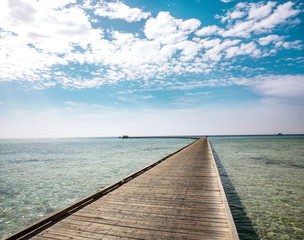 Fototapeta premium Drewniane molo z wolną przestrzenią do dekoracji i błękitne niebo z oceanicznym krajobrazem