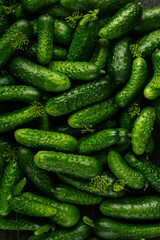 Fresh green cucumbers, new autumn vegetable harvest