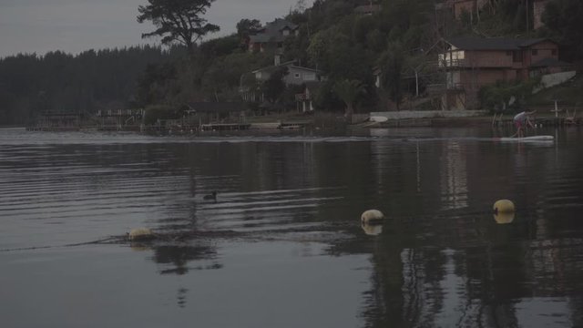 a man padding in vichuquen lake in Chile