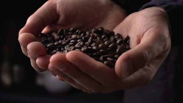 Coffee beans fall in hands in slow motion, barista prepare ingredients for work