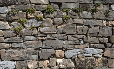 old stone wall, wallpaper and background